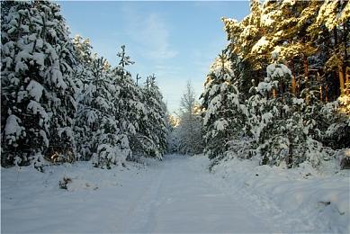 《老头环》“黄金树之影”上架Steam 国区售价198元